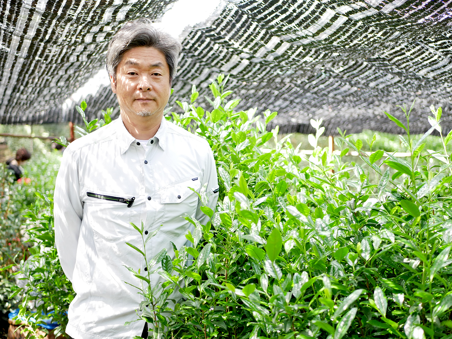 茶園清水屋当主 清水幹央